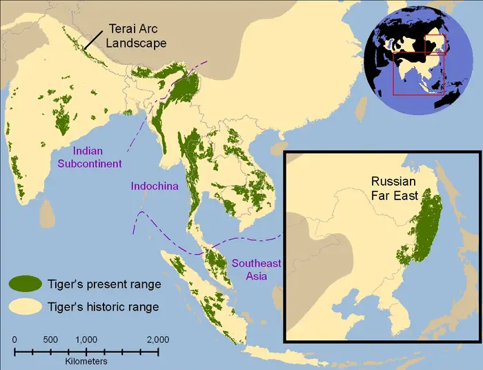 Tiger habitats, 1850 (yellow) versus 2006 (green)