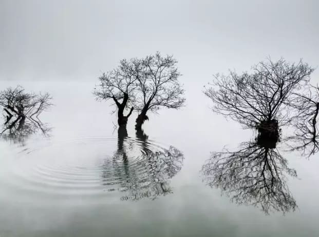 Korea: “Ripples In The Calm Lake” by Dowon Choi