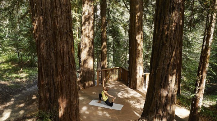 canyon_ranch_woodside_yoga_fairy_ring-1000x560