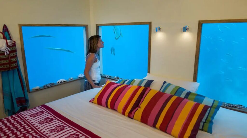 Here’s a view from inside the underwater bedroom.