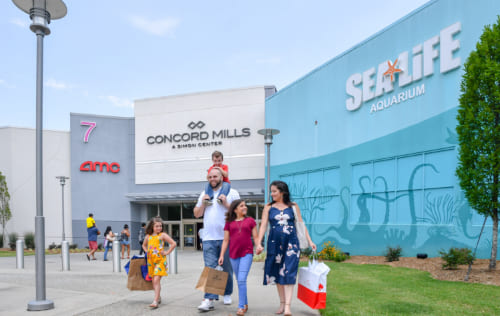 Concord Mall and US 202 – between books and beauty